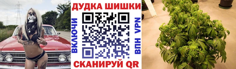 Все наркотики Людиново Каннабис COCAIN МЕФ