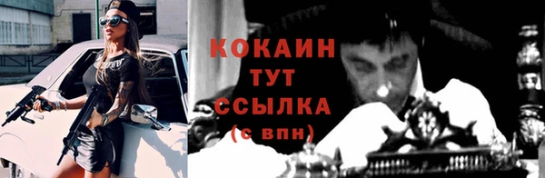 мдпв Протвино