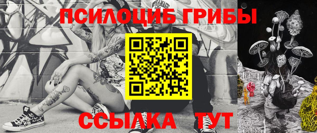 Людиново  Галлюциногенные грибы ЛСД  Вход с VPN  Псилоцибиновые грибы мухоморы 