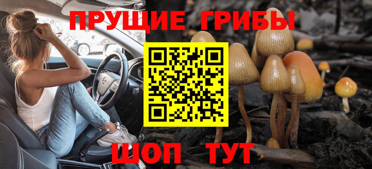 Галлюциногенные грибы Cubensis Людиново