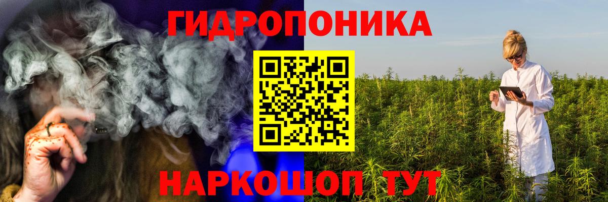 Каннабис OG Kush  МАРИХУАНА планчик  Вход с VPN  Людиново  Конопля план  Бошки Шишки план 